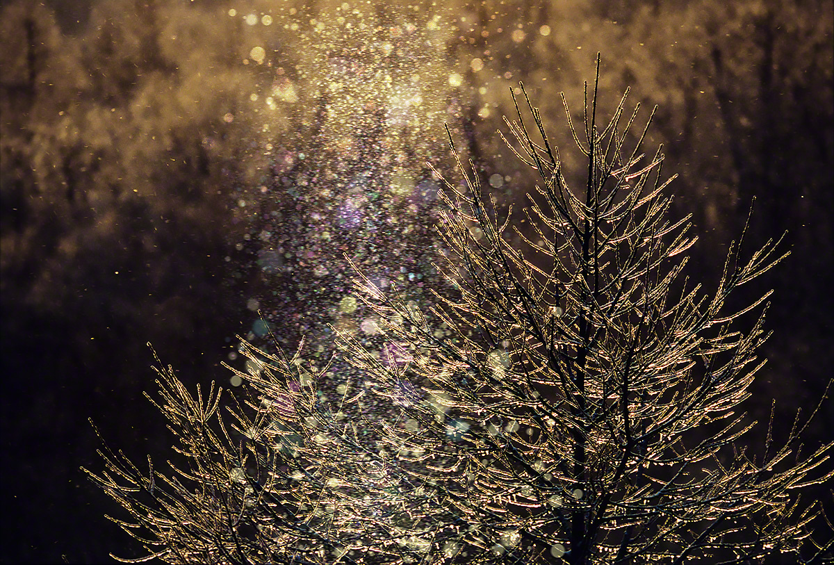 Scenery Photo ダイヤモンドダストと朝日に輝く凍ったカラマツの枝 風景写真素材 壁紙の無料ダウンロード グリーティングカードサービス