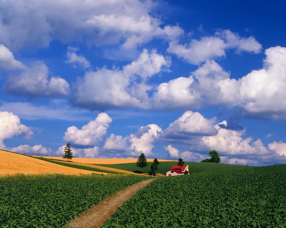 夏の雲とジャガイモ畑と赤い家へと続く道