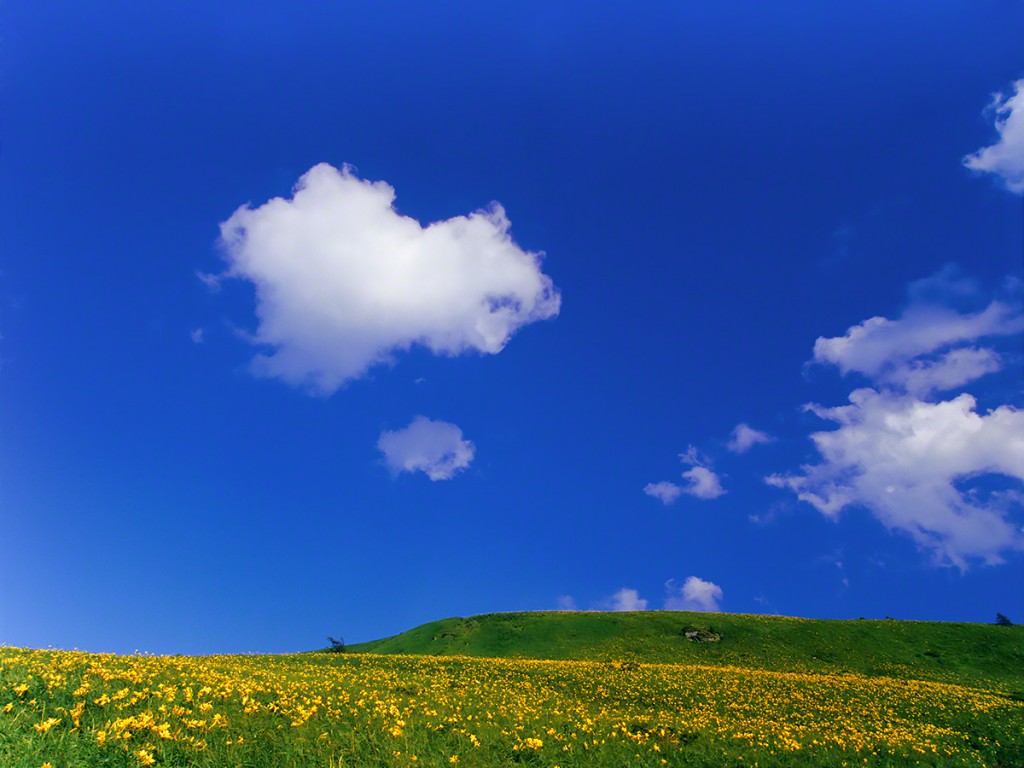 「青い部屋」で明かされるピカソの秘密の絵画